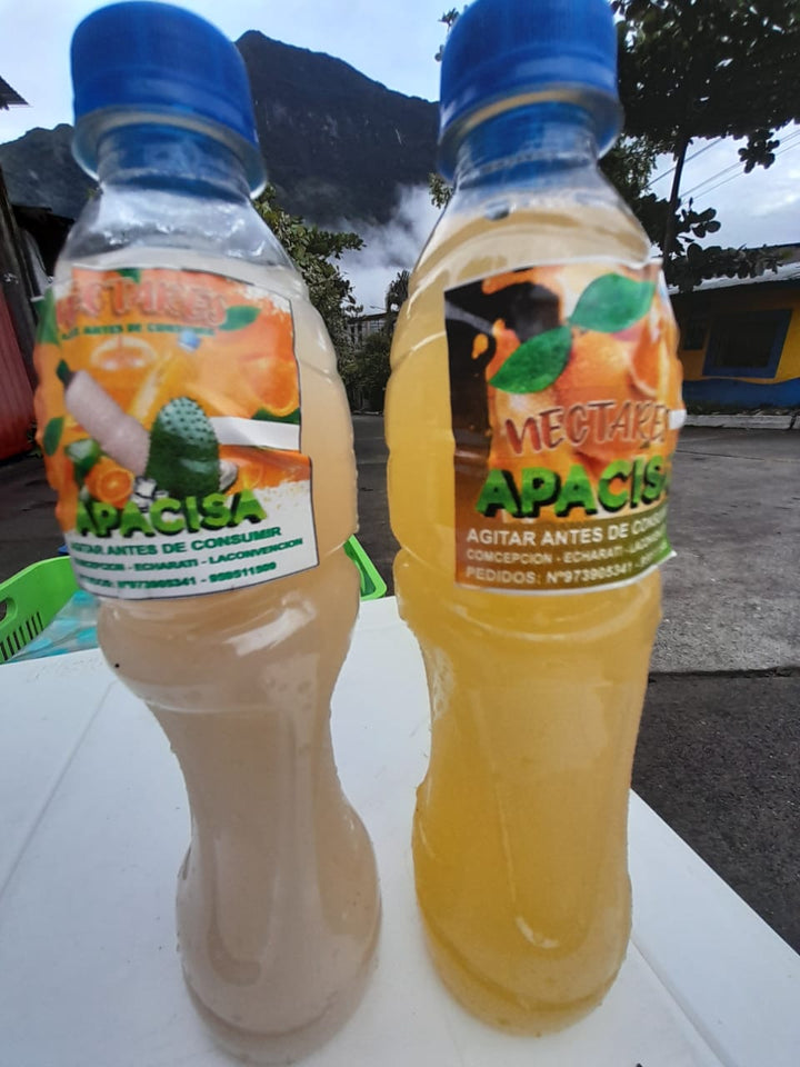 NECTAR DE GUANABANA